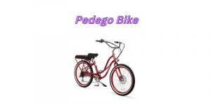 Read more about the article Are Pedego Bikes Worth The Money (Detailed Answer)