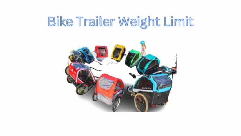 You are currently viewing Bike Trailer Weight Limit