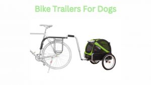 Read more about the article Bike Trailers For Dogs