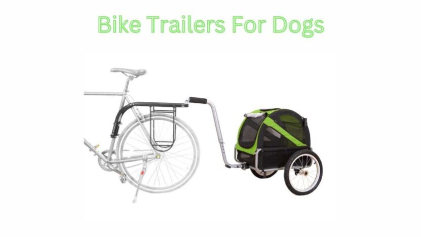 You are currently viewing Bike Trailers For Dogs