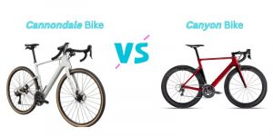 Read more about the article Cannondale vs Canyon