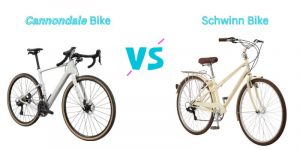 Read more about the article Cannondale vs Schwinn