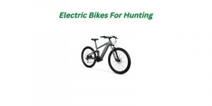 Read more about the article Electric Bikes For Hunting