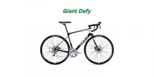 Read more about the article Giant Defy