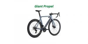 Read more about the article Giant Propel