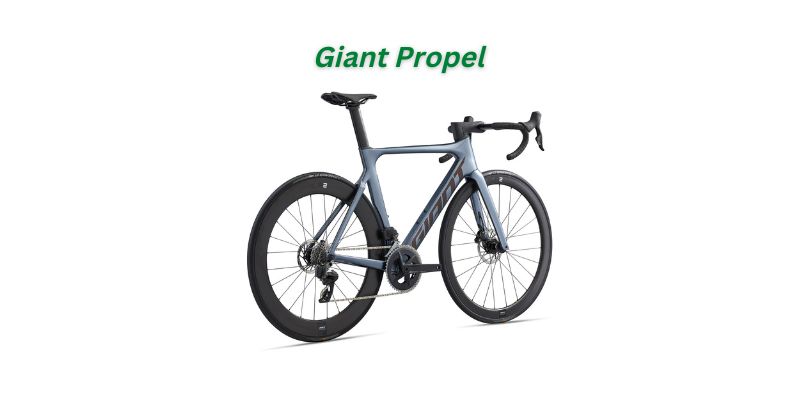 You are currently viewing Giant Propel