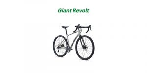 Read more about the article Giant Revolt