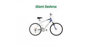 Read more about the article Giant Sedona