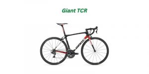 Read more about the article Giant TCR