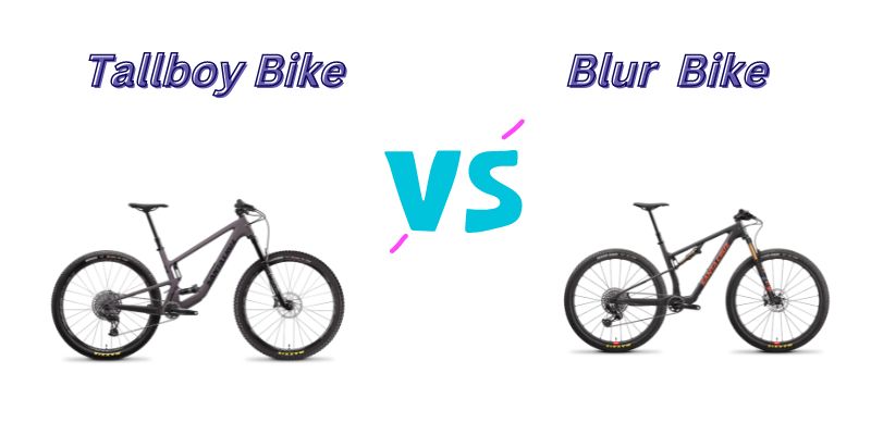You are currently viewing Tallboy vs Blur (7 Helpful Differences)