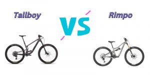 Read more about the article Tallboy vs Rimpo (7 Key Differences)