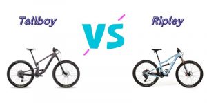 Read more about the article Tallboy vs Ripley (7 Helpful Differences)