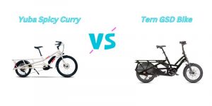 Read more about the article Yuba Spicy Curry vs Tern GSD Bike